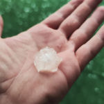 Foto: Reprodução / WH Comunicações 