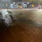 Avenida Sul Brasil. Foto: Sergio Dreyer