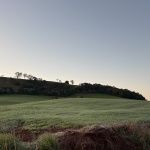 Foto: Marcos de Lima / WH Comunicações