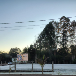 Foto: Carlos Eduardo Rodrigues