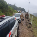 Foto: Divulgação PMSC