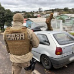 Foto: Marcos de Lima / WH Comunicações