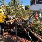 Fotos: Marcos de Lima / WH Comunicações