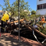 Fotos: Marcos de Lima / WH Comunicações