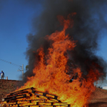 Foto: Divulgação/Município de Maravilha