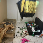 Foto: Divulgação/PCSC