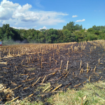 Lavoura atendida na primeira ocorrência da tarde. Conforme relato do proprietário, o fogo foi iniciado por ele próprio para limpeza da área, porém saiu de controle. Foto: Divulgação/Corpo de Bombeiros Militar de Maravilha