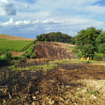 Segunda ocorrência de incêndio também foi registrada na Linha Nova Brasília, porém, em uma lavoura diferente. Foto: Divulgação/Corpo de Bombeiros Militar de Maravilha.