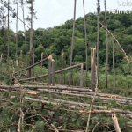 Foto: Divulgação/Defesa Civil/