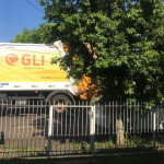 Registro da coleta de lixo realizada no último sábado (4), em Maravilha. Foto: Tamara Finardi/ WH Comunicações/ Líder