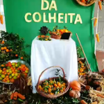 Foto: Yasmim Rogrigues Behling