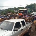 Fotos: Inácio Rohden