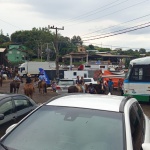 Fotos: Inácio Rohden