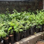 Foto: Ascom/Prefeitura