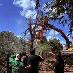 Helicóptero da dupla Henrique e Juliano cai no Tocantins. | Divulgação