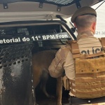 Foto: Marcos de Lima / WH Comunicações
