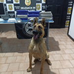 Foto: Divulgação/PCSC