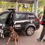 Foto: Marcos de Lima / WH Comunicações