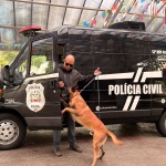 Foto: Marcos de Lima / WH Comunicações