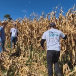 Fotos: Helena Moraes Epagri/Fapesc