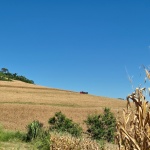 Fotos: Helena Moraes Epagri/Fapesc