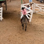 Foto: Marcos de Lima / WH Comunicações