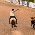 Foto: Marcos de Lima / WH Comunicações