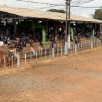 Foto: Marcos de Lima / WH Comunicações