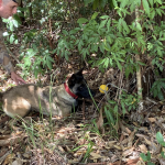 Foto: Enzo Zotta / WH Comunicações 