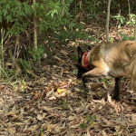 Foto: Enzo Zotta / WH Comunicações 