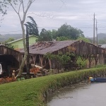 Fotos: Divulgação