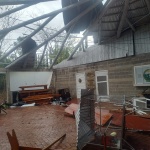 Fotos: Divulgação