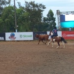 Movimentação na tarde de sábado (11). Fotos: Inácio Rohden