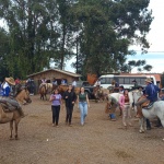 Movimentação na tarde de sábado (11). Fotos: Inácio Rohden