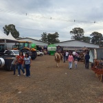 Movimentação na tarde de sábado (11). Fotos: Inácio Rohden