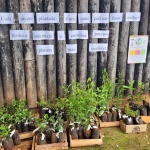 Foto: Clinica Renal / WH Comunicações 