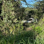 Foto: Marcos de Lima / WH Comunicações 