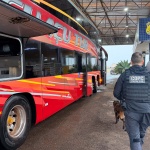 Foto: Marcos de Lima / WH Comunicações