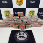 Fotos: Polícia Civil