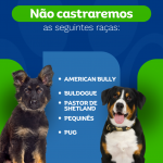 Divulgação/Município de Maravilha