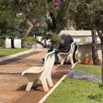 Foto: Marcos de Lima / WH Comunicações