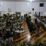 Foto: Daniela de Castro