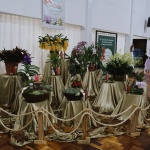 Foto: Daniela de Castro