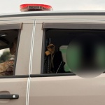 Foto: Marcos de Lima / WH Comunicações