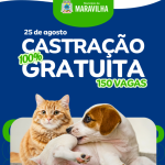 Divulgação/Município de Maravilha