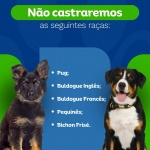 Divulgação/Município de Maravilha
