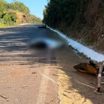 Foto: Marcos de Lima / WH Comunicações