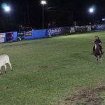 Foto: Tamara Finardi/ WH Comunicações/ Líder