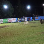 Foto: Tamara Finardi/ WH Comunicações/ Líder