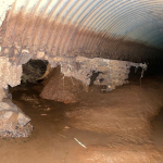 Foto: Tamara Finardi/ WH Comunicações/ Líder